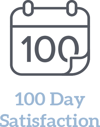 100 Day icon