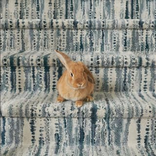 Warranted for Stairs