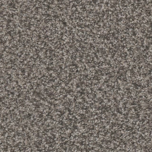 FloorEver™ PetPlus Vista Silver Skyline FP036-3509