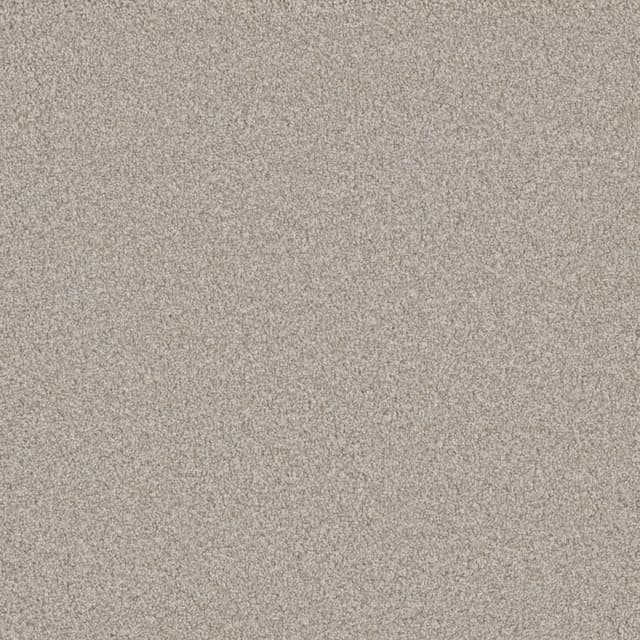 FloorEver™ PetPlus Vista Silver Glacier FP036-3504