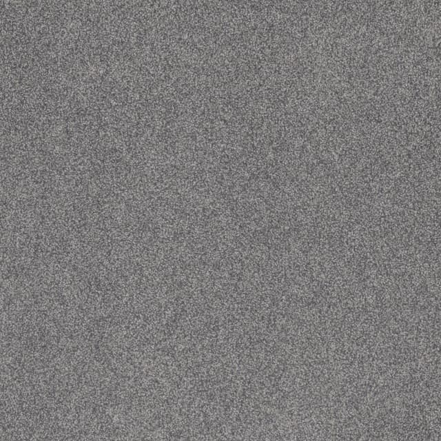 FloorEver™ PetPlus Signature Silver Anchor FP043_F04118