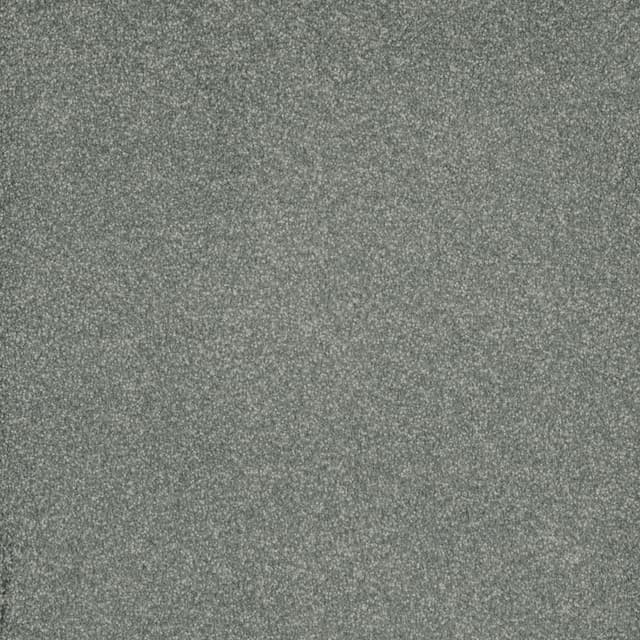 FloorEver™ PetPlus Signature Silver Moss FP043_F04120