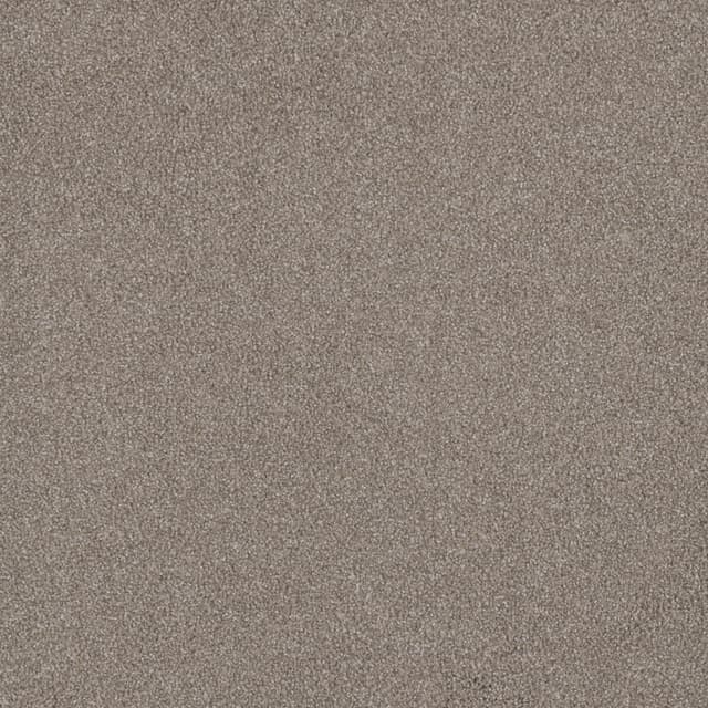 FloorEver™ PetPlus Signature Silver Mink FP043_F04107