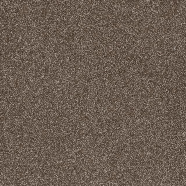 FloorEver™ PetPlus Signature Silver Cinnamon FP043_F04116